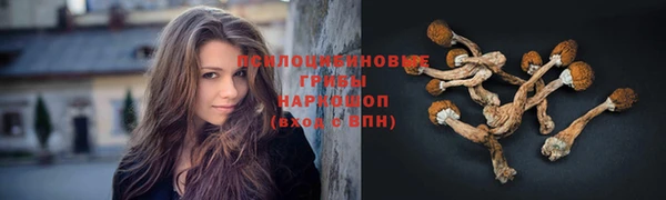 MESCALINE Новокубанск