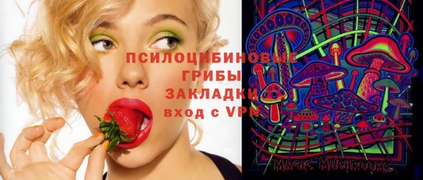 гашик Абинск
