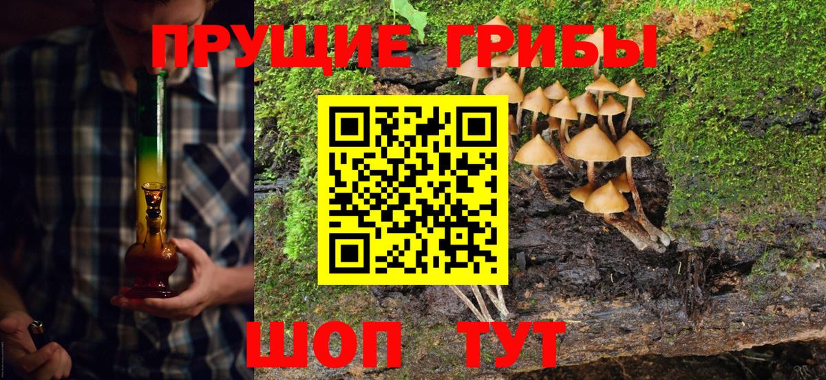 Псилоцибиновые грибы мухоморы  даркнет сайт  Вход с VPN  Стрежевой  Галлюциногенные грибы GOLDEN TEACHER 